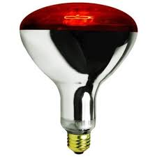 Chicken Infrared RED heat lamp light bulb + Free Porcelain Holder