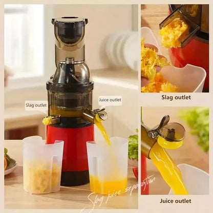 Slow Masticating Juicer Machine for Fruits and Vegetables Juice Yield