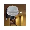 1 (11).webp